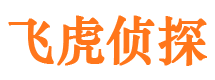 海港婚外情调查取证